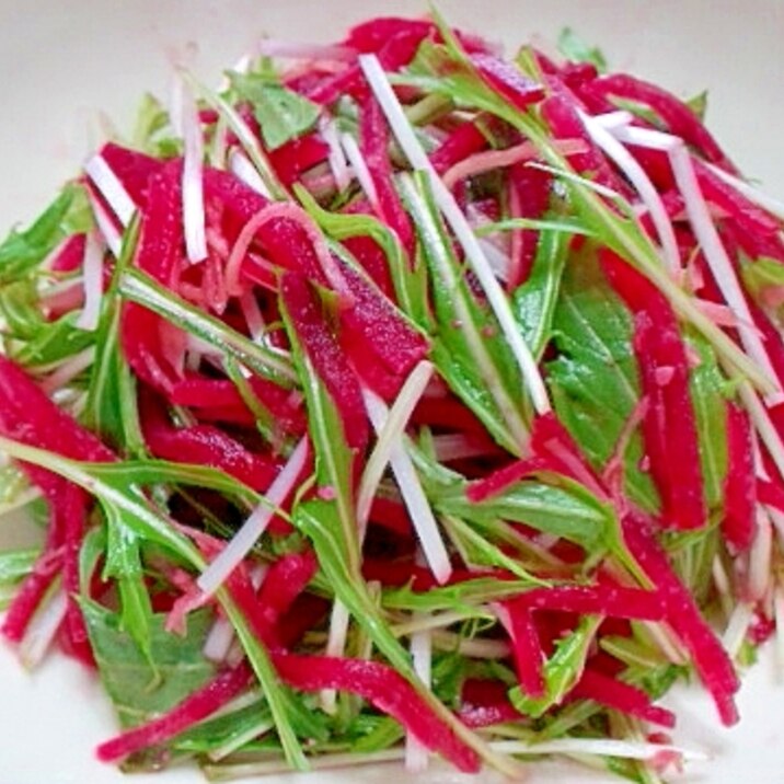 もみじ大根と水菜の生姜味噌サラダ